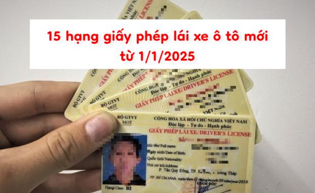 Cập nhật 15 hạng giấy phép lái xe ô tô mới từ 1/1/2025